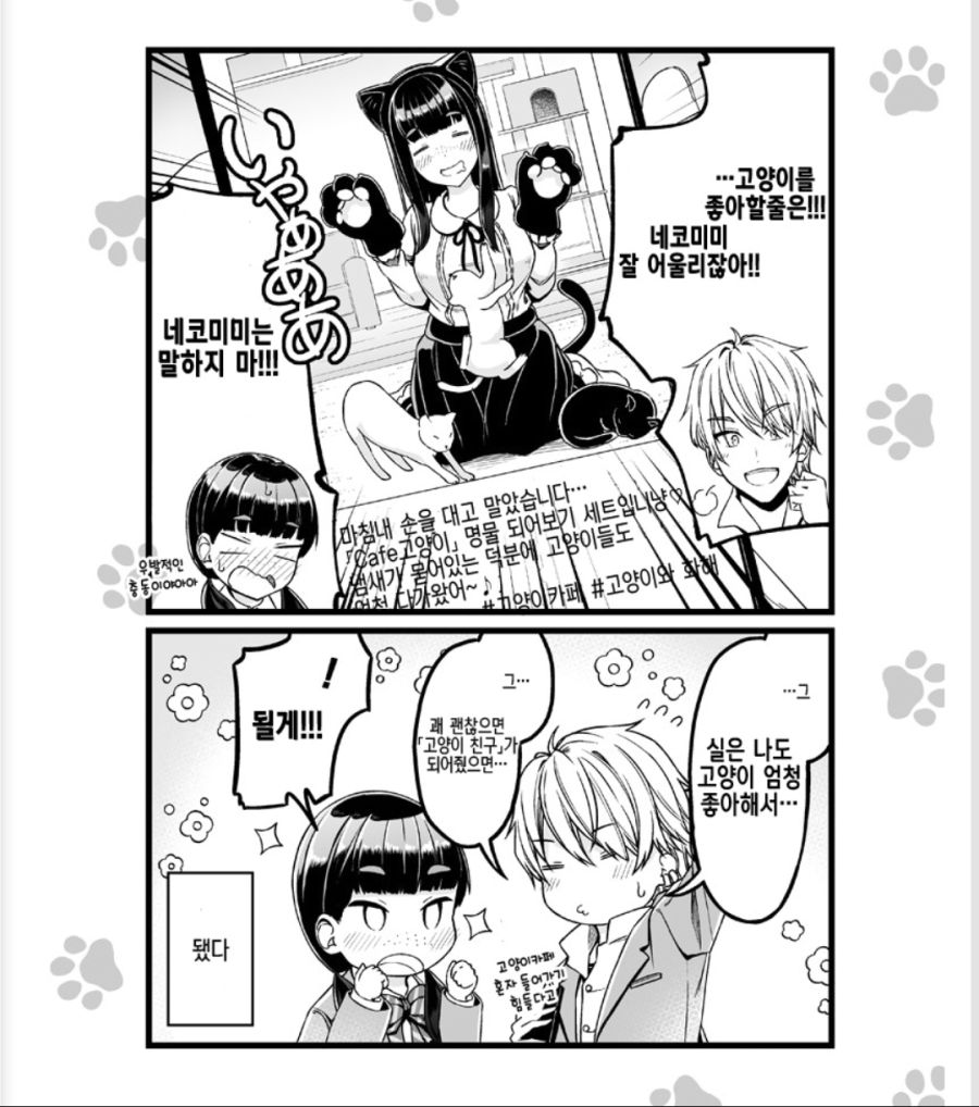 manga_2996555_004.jpg