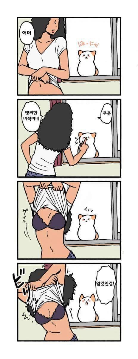 manga_943765_005.jpg