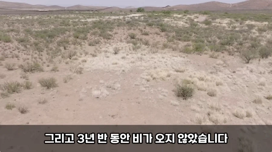 그 시절 사막신의 타 종교지역 정복방법_16.webp