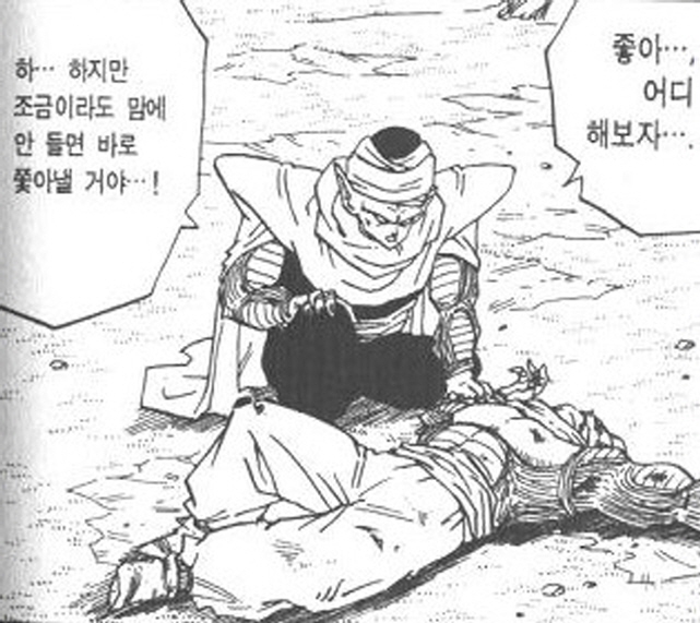 [드래곤볼]최강의 파워를 손에 넣은 피콜로_1.jpg