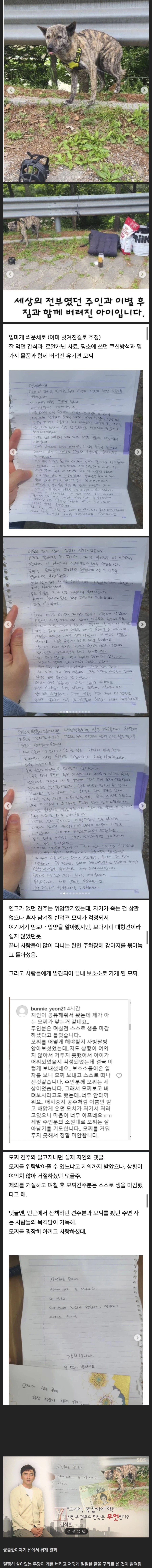 탄천 주차장 버려진 강아지 결말_1.webp