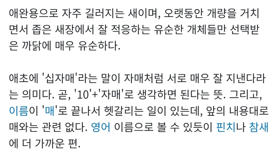 ??? : 여기서 제일 사나운 새를 주시오!!_2.webp