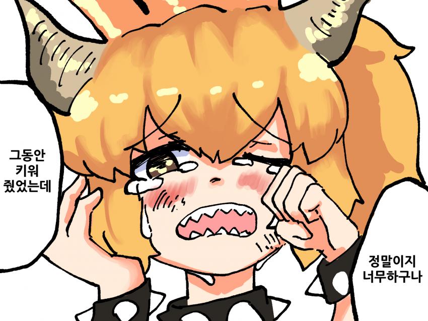 manga_2593446_003.jpg