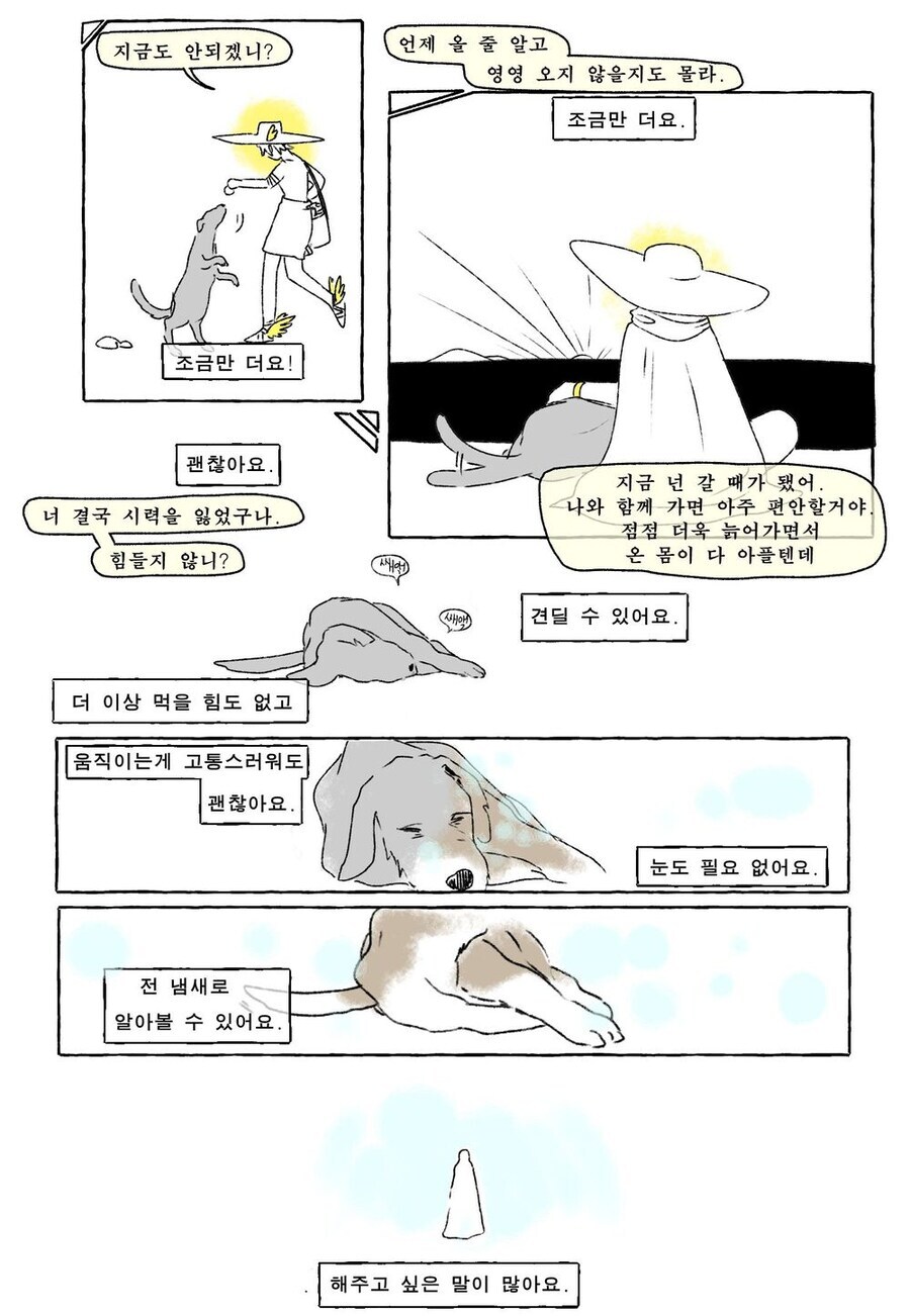 신화속 20년 넘게 주인을 기다린 충견_3.jpg