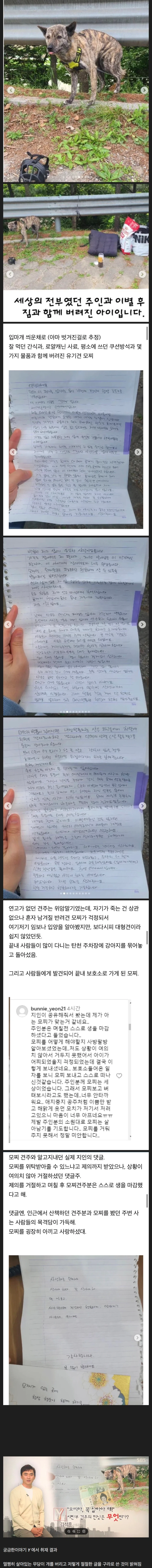 탄천 주차장의 버려진 강아지 결말 jpg_1.webp