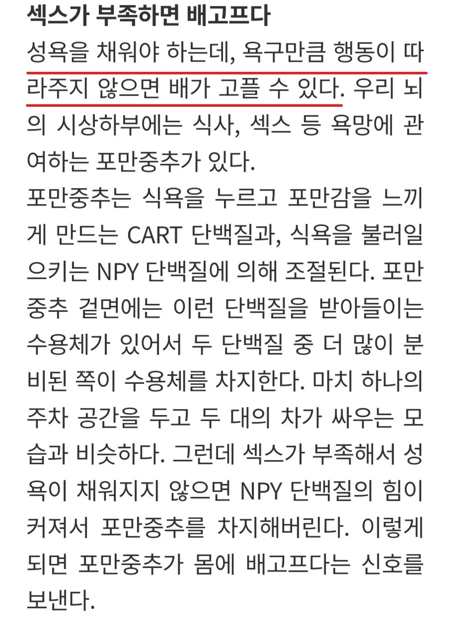 배가 자주고픈 이유_1.webp