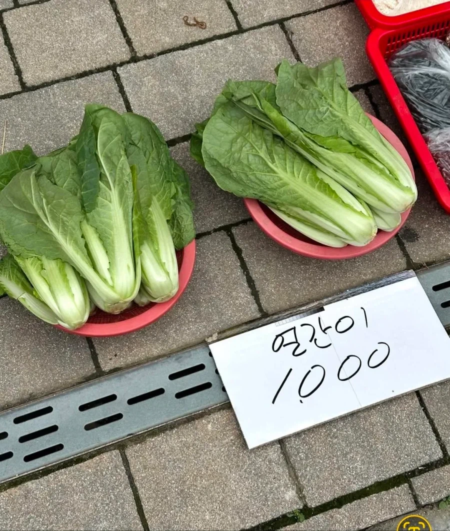 시장에서 볼 수 있는 이상한 한국어_6.webp