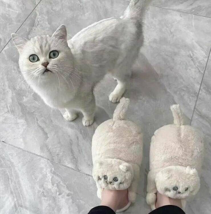 어린이날이라고? 짤 달린다 다들 각오해라 ㅋㅋㅋㅋㅋㅋㅋ_17.jpg