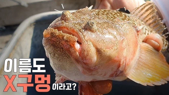 약?혐) 얼핏 보면 무섭게 생긴 물체_6.webp
