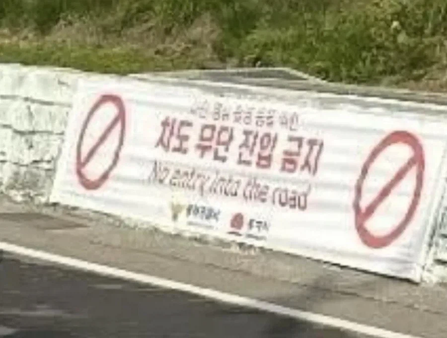 난리난 동해