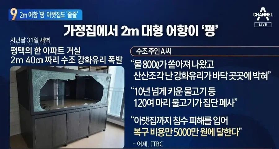 아파트에 2톤짜리 어항 설치한 사람_7.webp