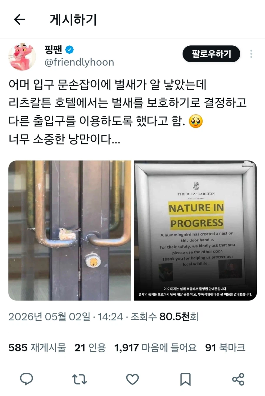 호텔 손잡이에 둥지를 튼 벌새_1.webp