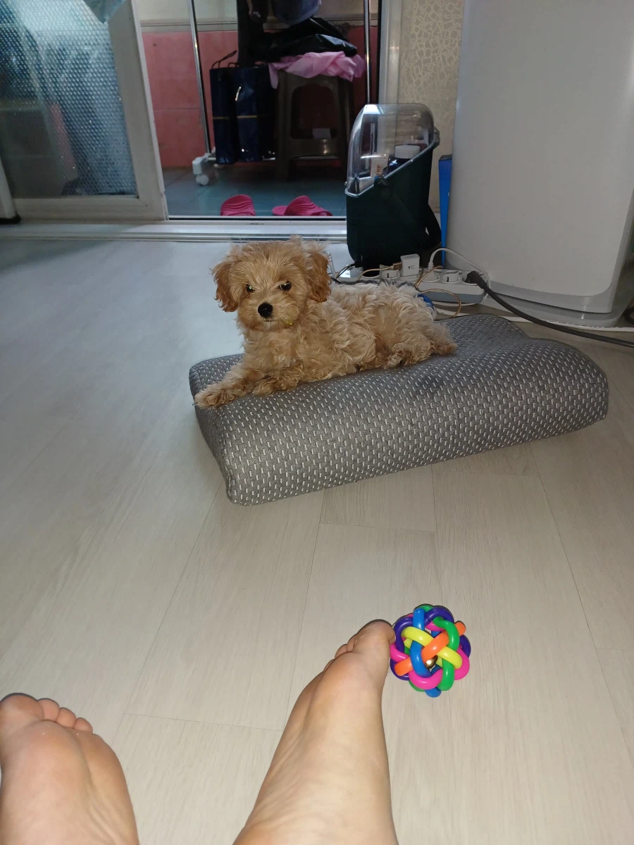어린이날 특선 사진_4.webp