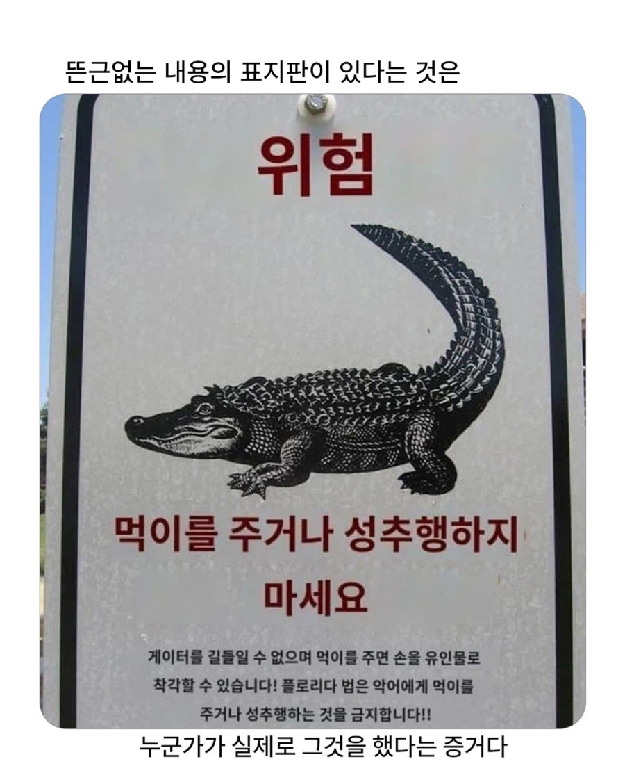 악어 위험 표지판_1.webp