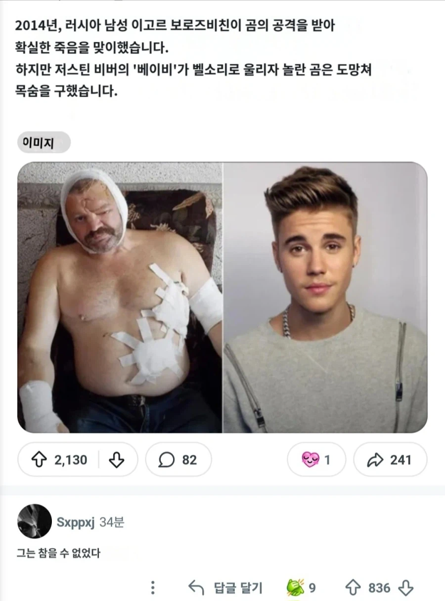 곰에게 습격받아 죽을 위기에서 뜨또 덕분에 목숨을 구한 러시아인_2.webp