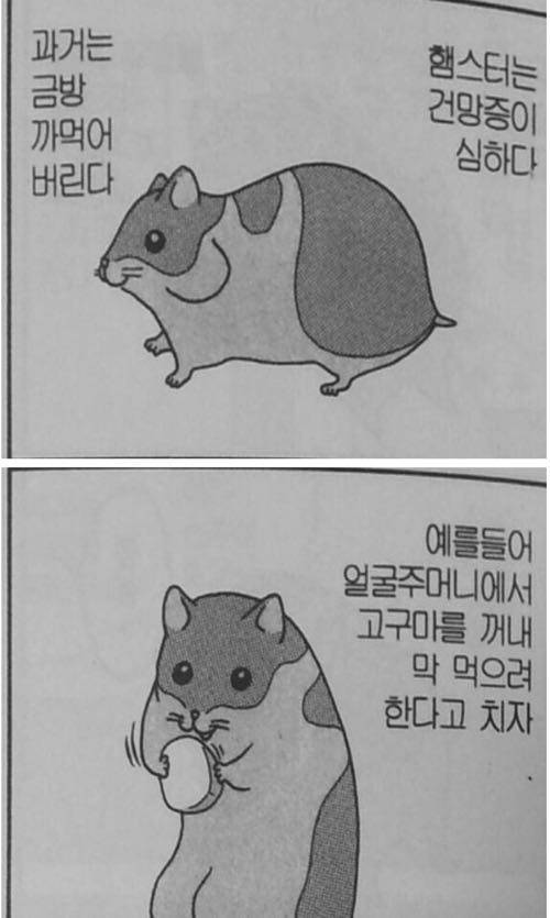 manga_206365_001.jpg