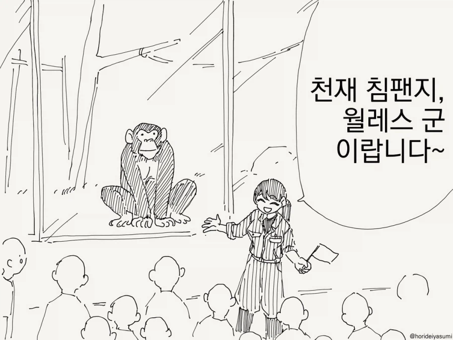 용서해라, 사스케...manhwa_1.webp