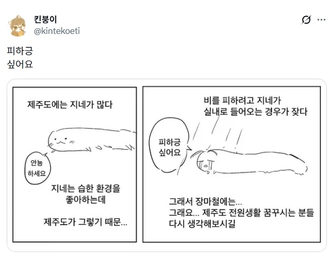 제주도에는 지네가 많다.jpg_3.webp