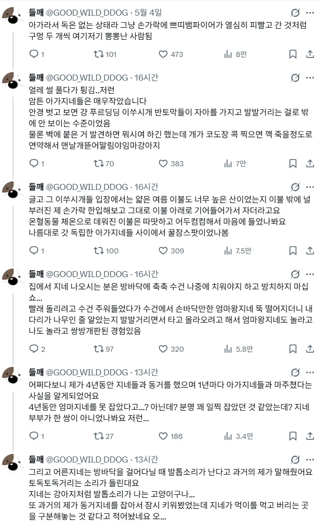 제주도에는 지네가 많다.jpg_5.webp