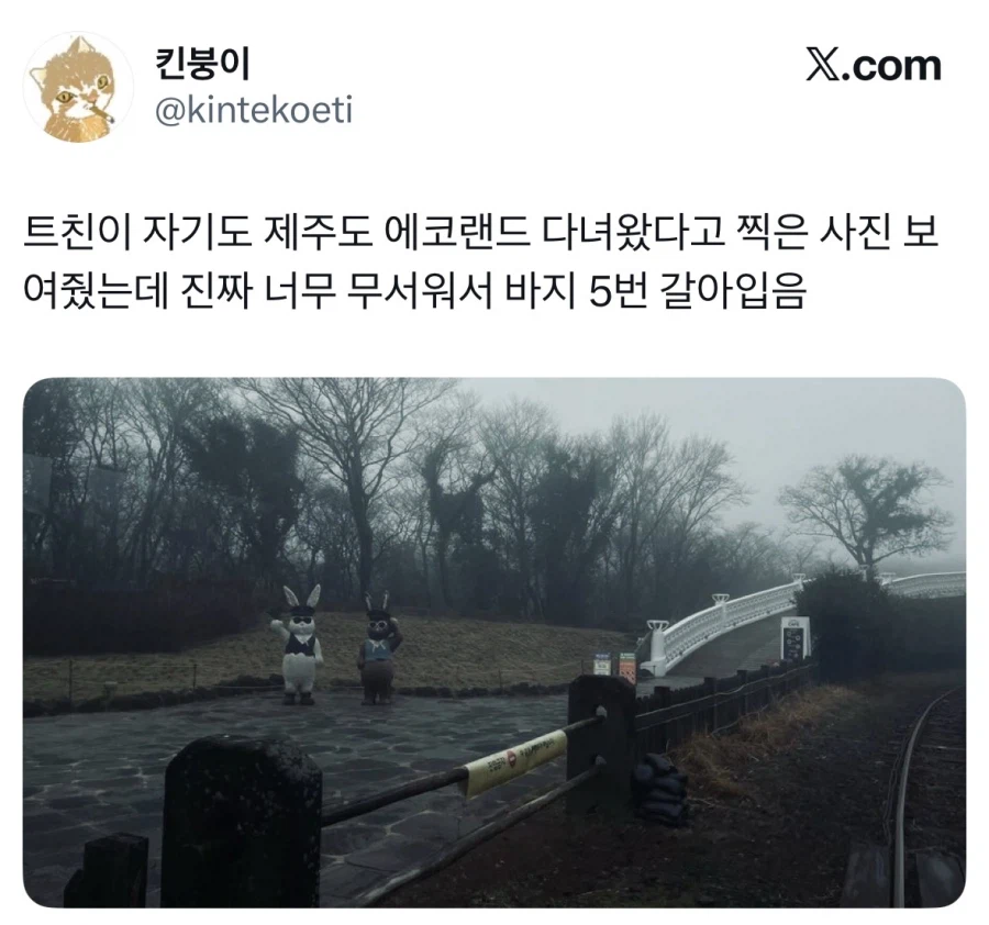제주도 에코랜드 후기.jpg_1.webp