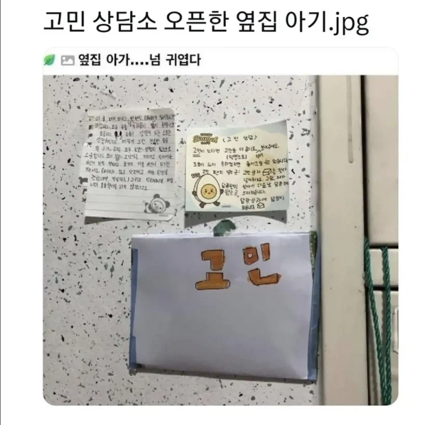 옆집 아기 고민 상담소 오픈함_1.webp