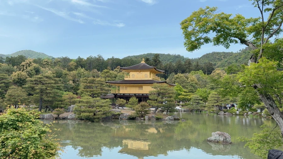 내 연휴 어디갔어!!_11.webp