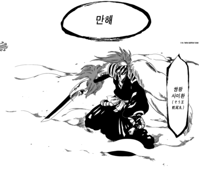 렌지-만해_쌍왕사미환.jpg
