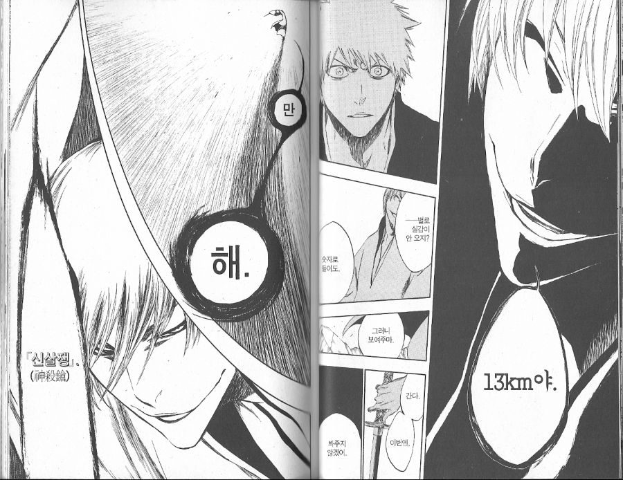 bleach46_0041.jpg