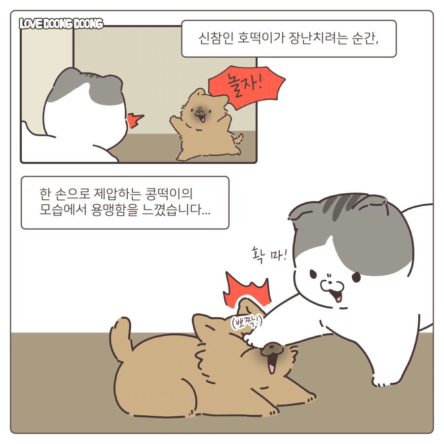 manga_716713_004.jpg