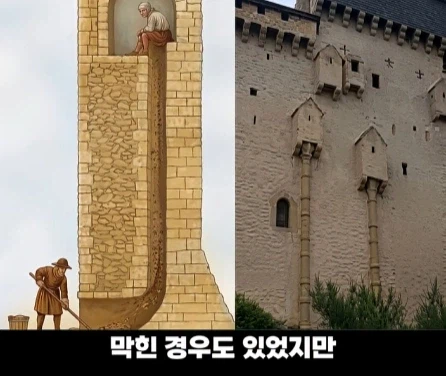 디즈니 영화 라푼젤 탑의 비밀.jpg_19.webp