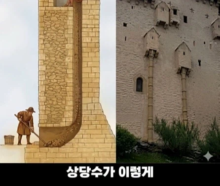 디즈니 영화 라푼젤 탑의 비밀.jpg_21.webp