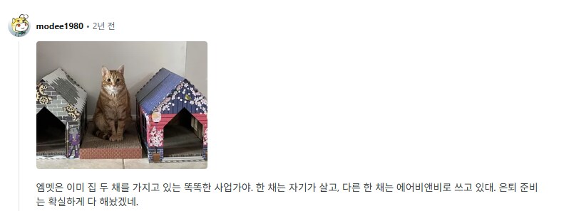 사람이름을 가진 고양이들을 자랑하는 집사들.jpg_4.png
