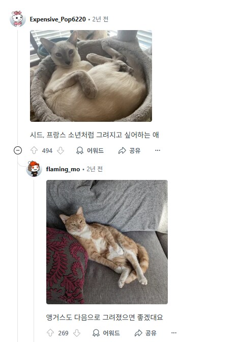 사람이름을 가진 고양이들을 자랑하는 집사들.jpg_5.png