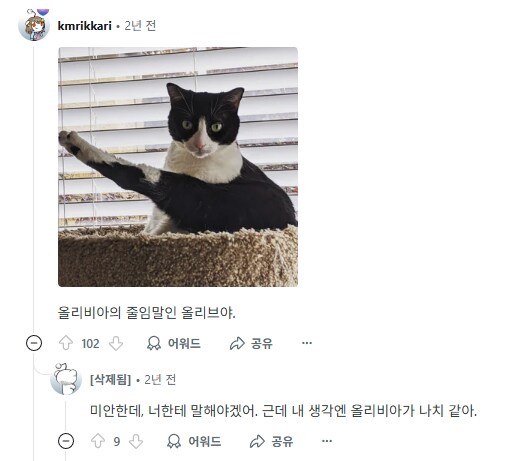 사람이름을 가진 고양이들을 자랑하는 집사들.jpg_6.png