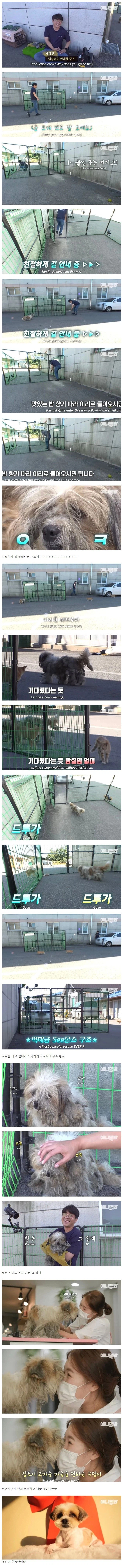 출연자와 짜고치던 동물농장 구조영상_2.webp