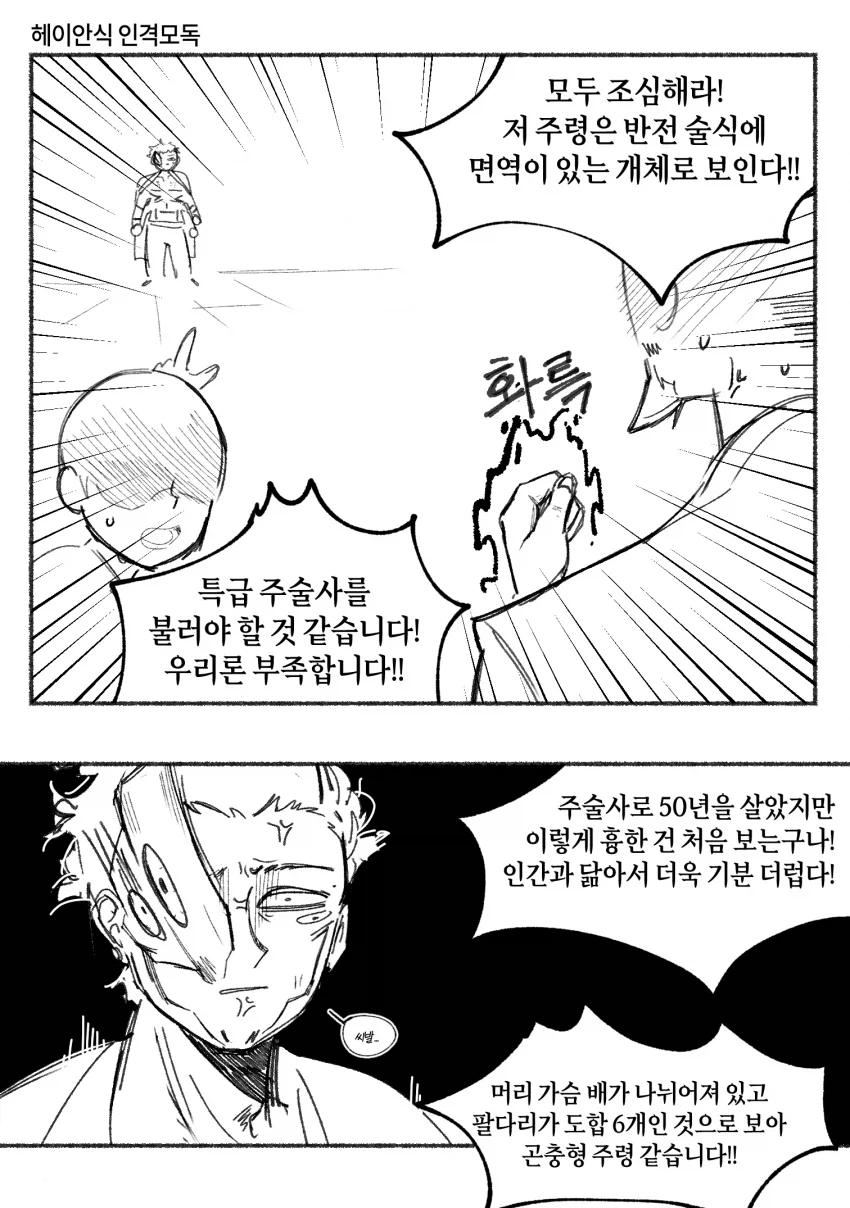 주술회전)스쿠나에게 반전술식으로도 회복 못할 피해를 준 주술사_1.webp