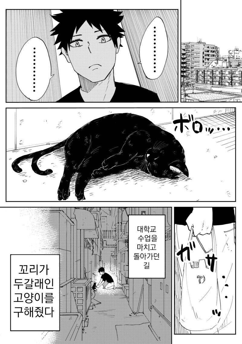 manga_2763714_001.jpeg