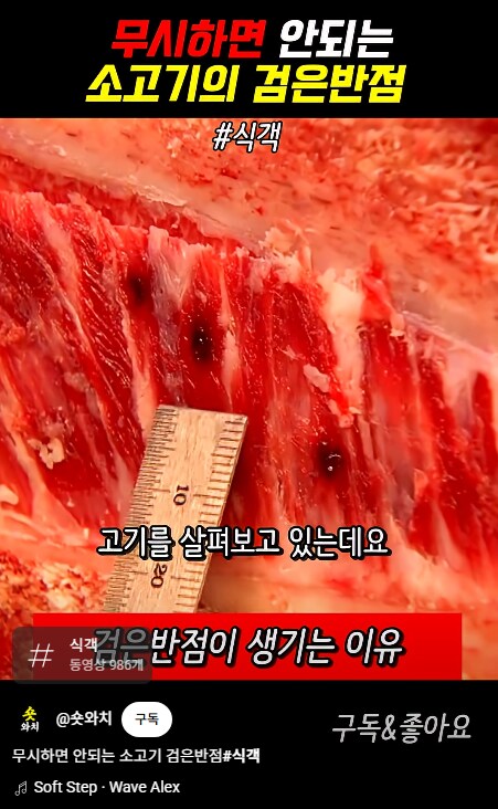 식객 만화, 드라마, 영화에서 제일 임팩트 있던 장면_1.png