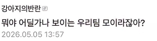 오버워치 탱장연