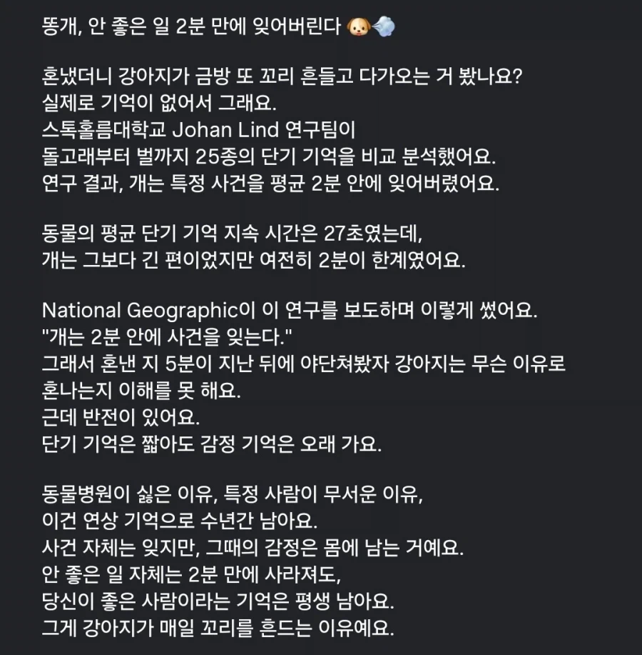 강아지, 안 좋은 일 2분만에 잊어버린다._2.webp