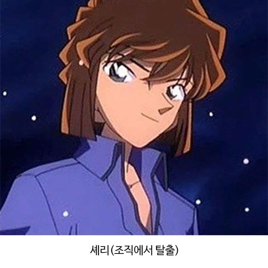 어떻게 돌아가는지 궁금한 조직.jpg_5.webp