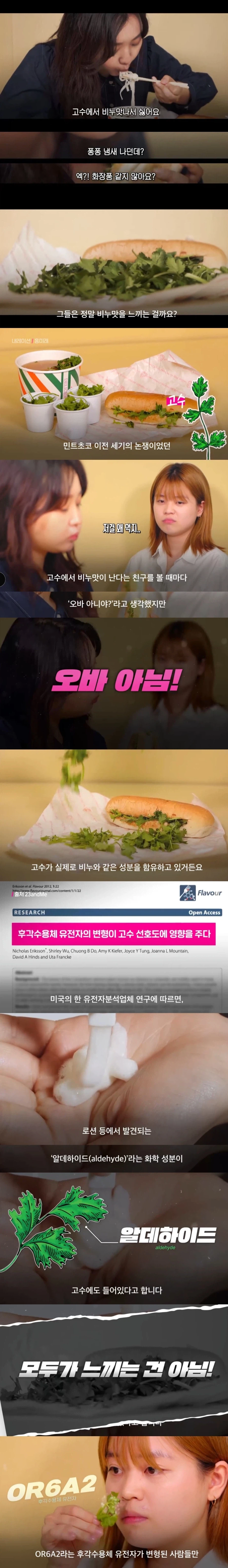 고수를 싫어하는건 반찬투정같은게 아니다.jpg_1.webp