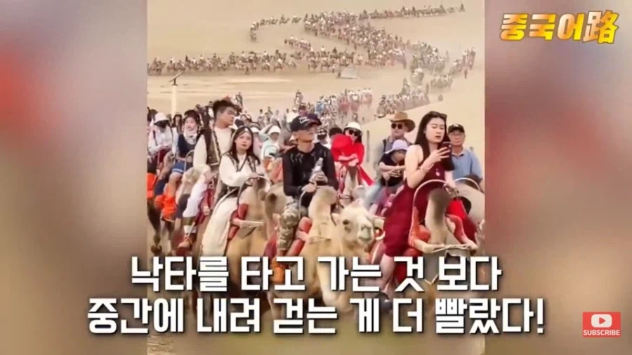 중국인들이 기회가 되면 어떻게든 해외로 나오는 이유_7.webp