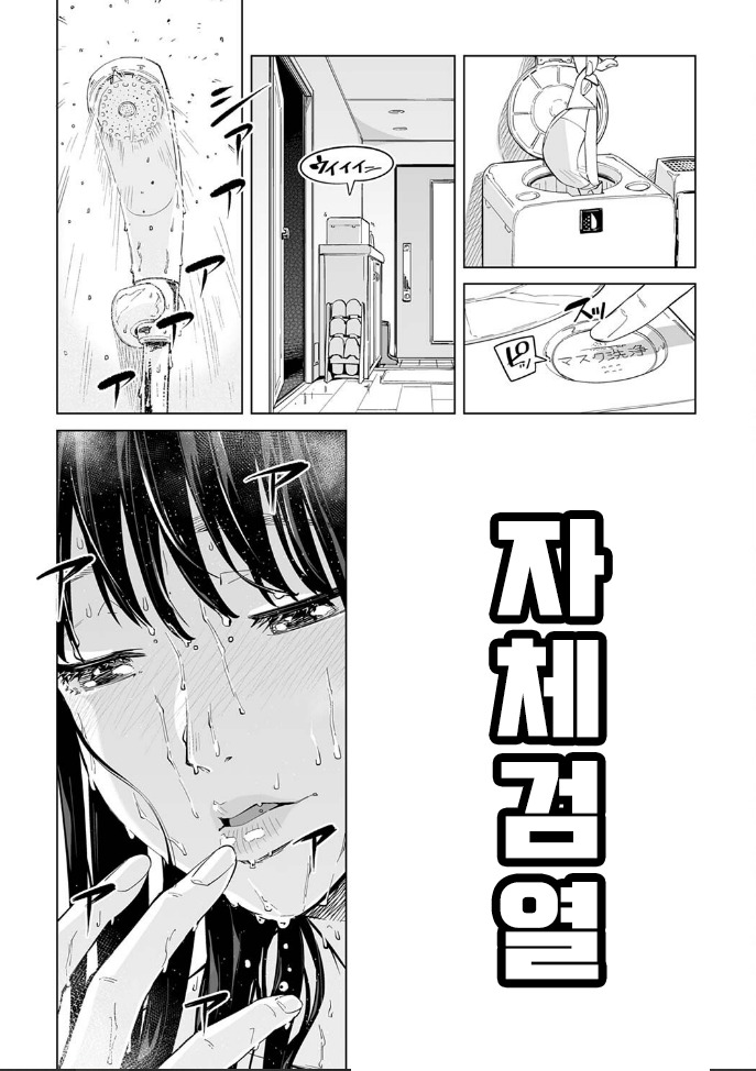 manga_1912210_011.jpeg