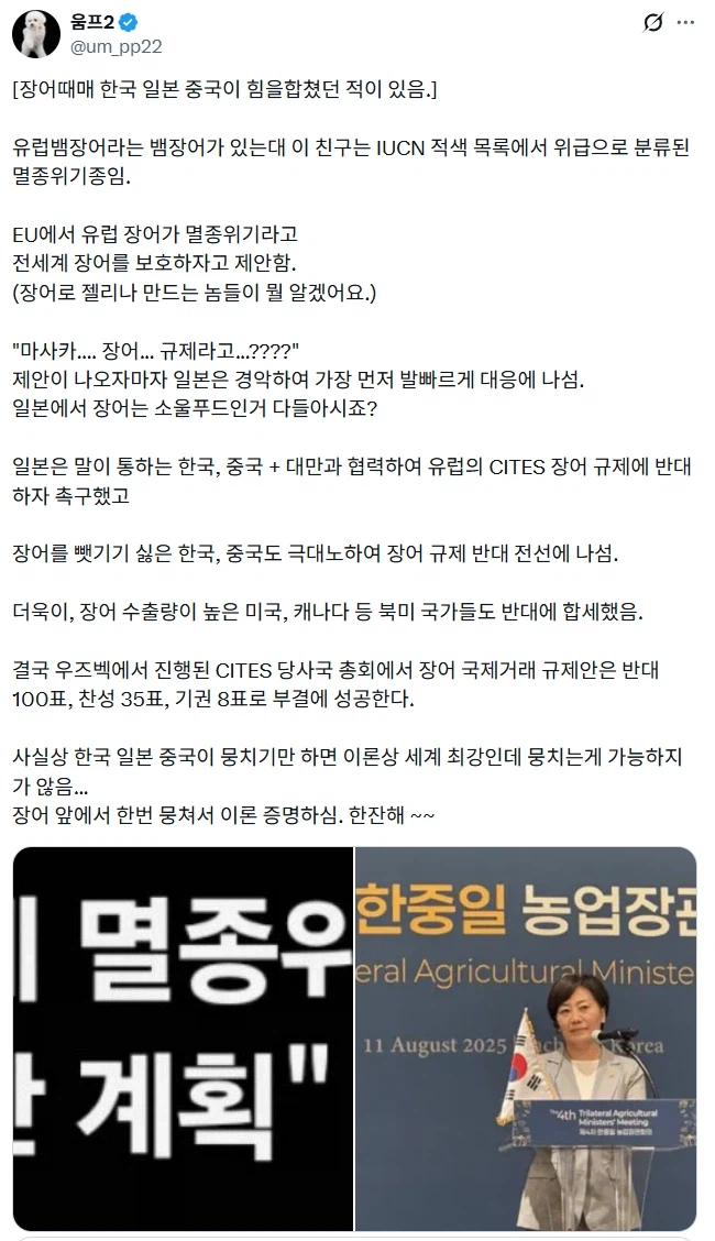 장어의 신비.jpg_2.webp
