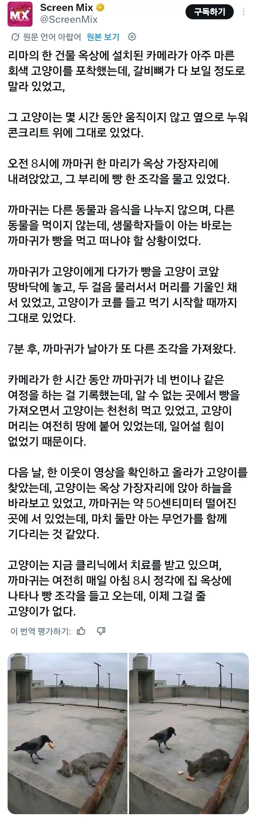 인간의 선의로 포장된 사악한 행위_1.webp