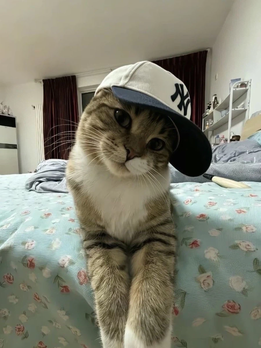 와썹? 브로_1.webp