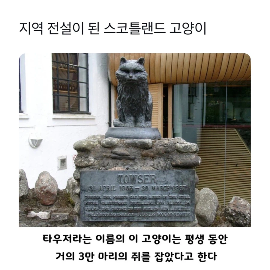 고양이 석상이 세워진 이유_1.webp