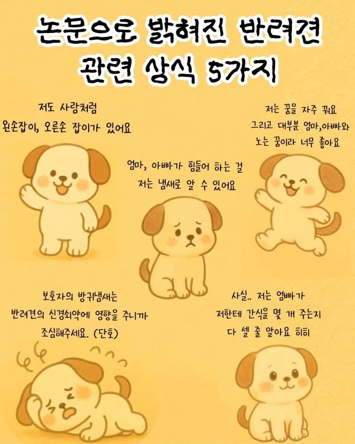 의외로 애완동물한테 하면 안 되는 행동_1.webp