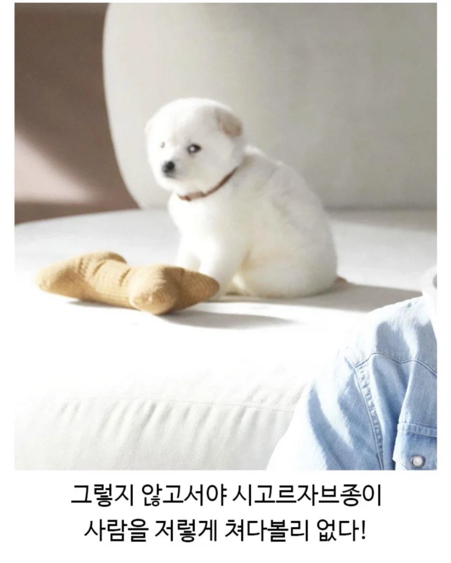 이건 박보검이 100% 잘못했음_2.webp